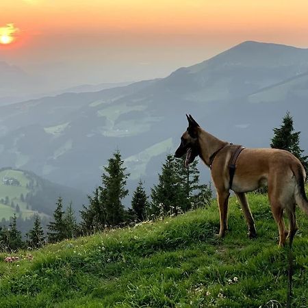 Апартаменты Urlaub Mit Hund Im Salzburger Land Wegscheid Экстерьер фото